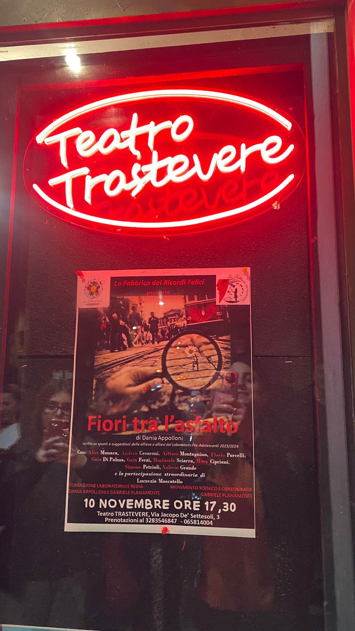 Fiori tra l'asfalto 2024 (10)