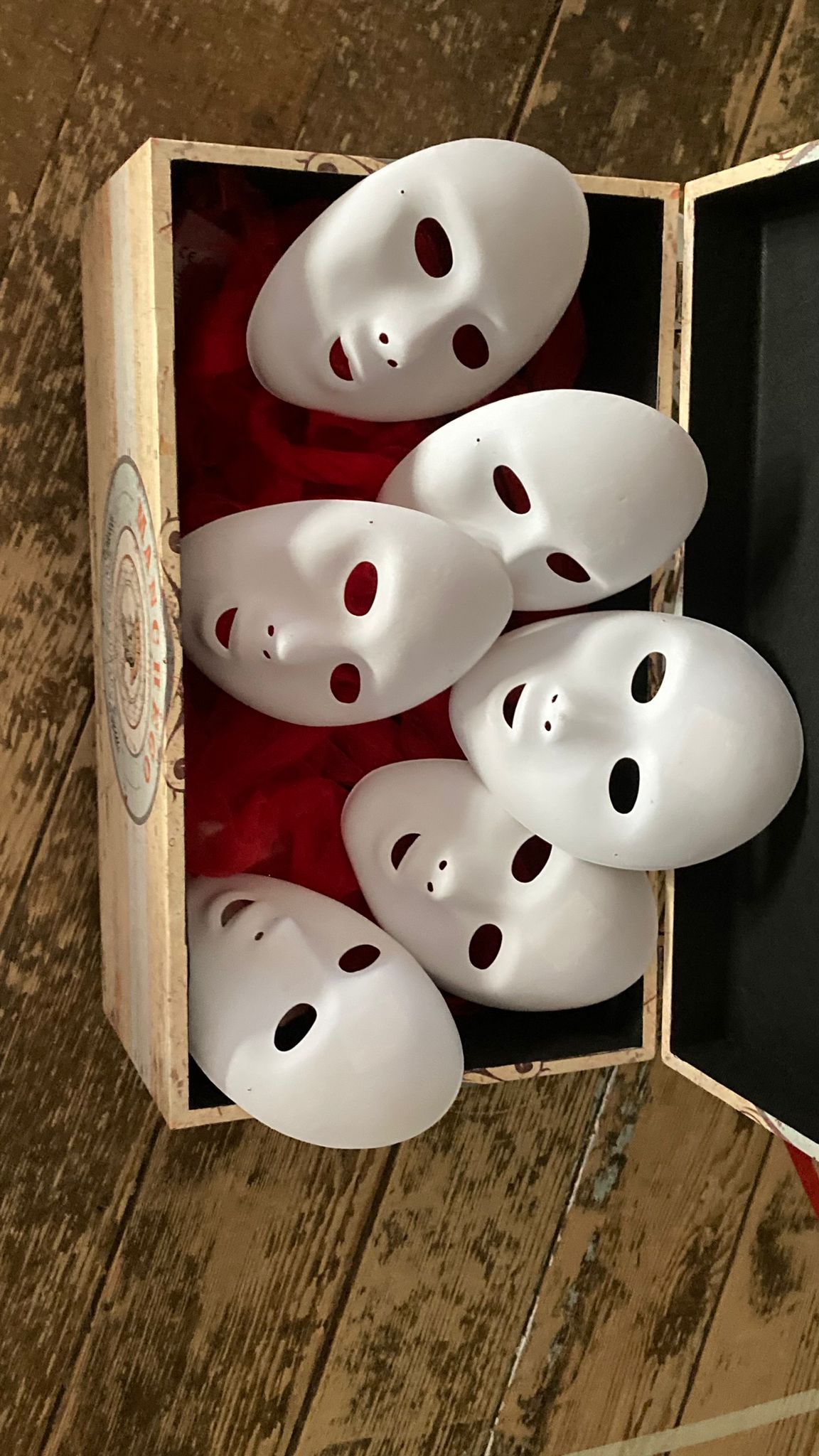 Oltre le parole. Lanterna di Diogene 2024 (11)